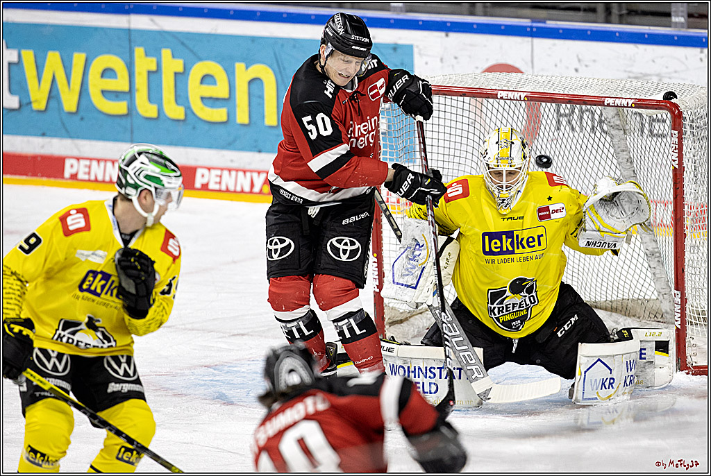 PENNY DEL;  Koelner Haie - Krefeld Pinguine; Koeln, 08.03.2022